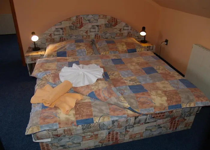 Pensjonat Erika Františkovy Lázně