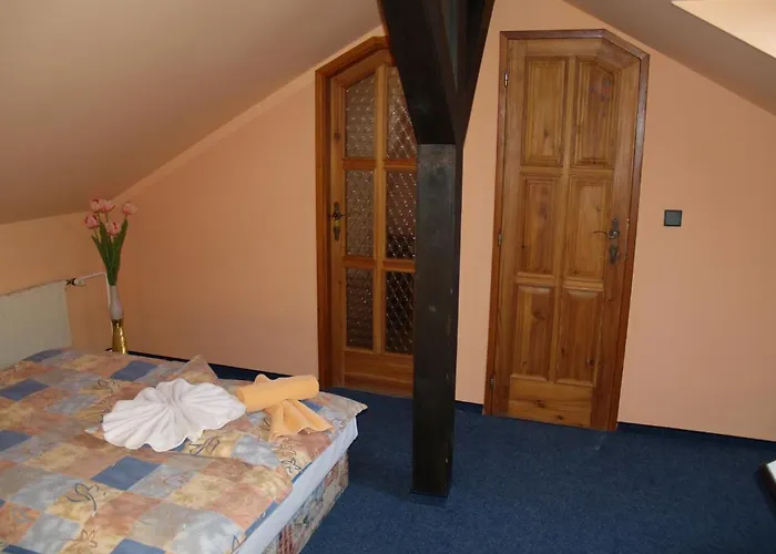 Pensjonat Erika Františkovy Lázně